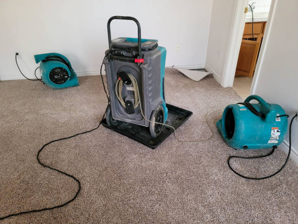 Best Mold removal after water damage  in Edgerton, OH