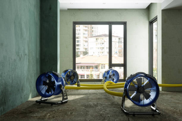 Best Water damage restoration services  in Edgerton, OH